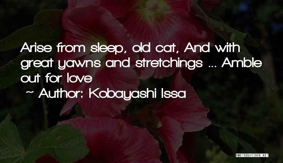 Issa Quotes By Kobayashi Issa