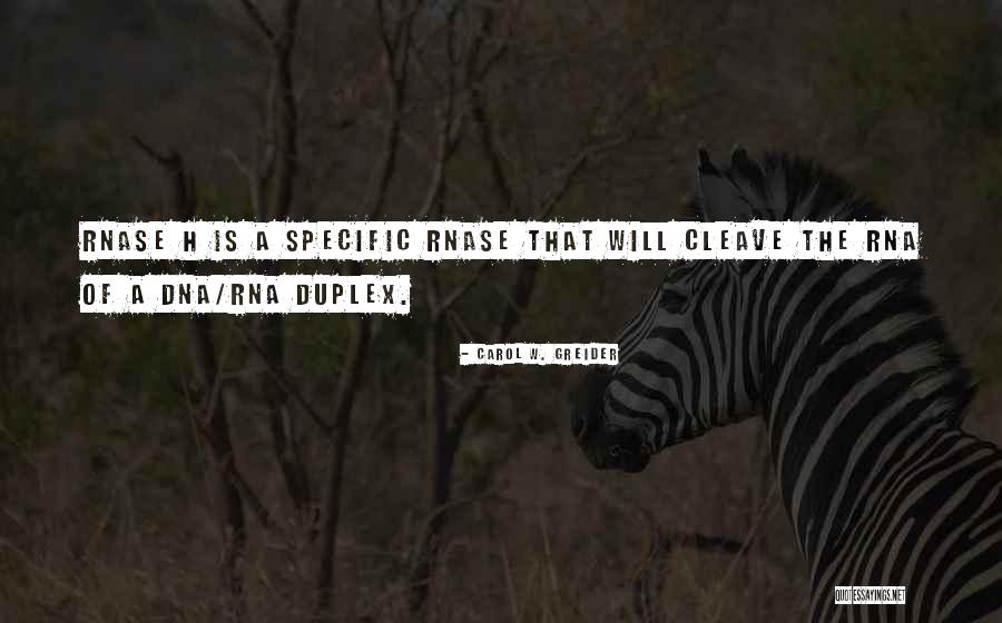 Ississippi Quotes By Carol W. Greider Ississippi Quotes By Carol W. Greider