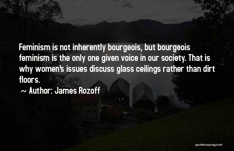 Issues In Society Quotes By James Rozoff