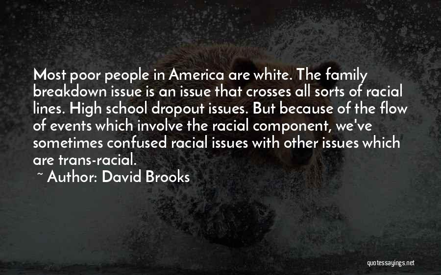 Issues With Family Quotes By David Brooks