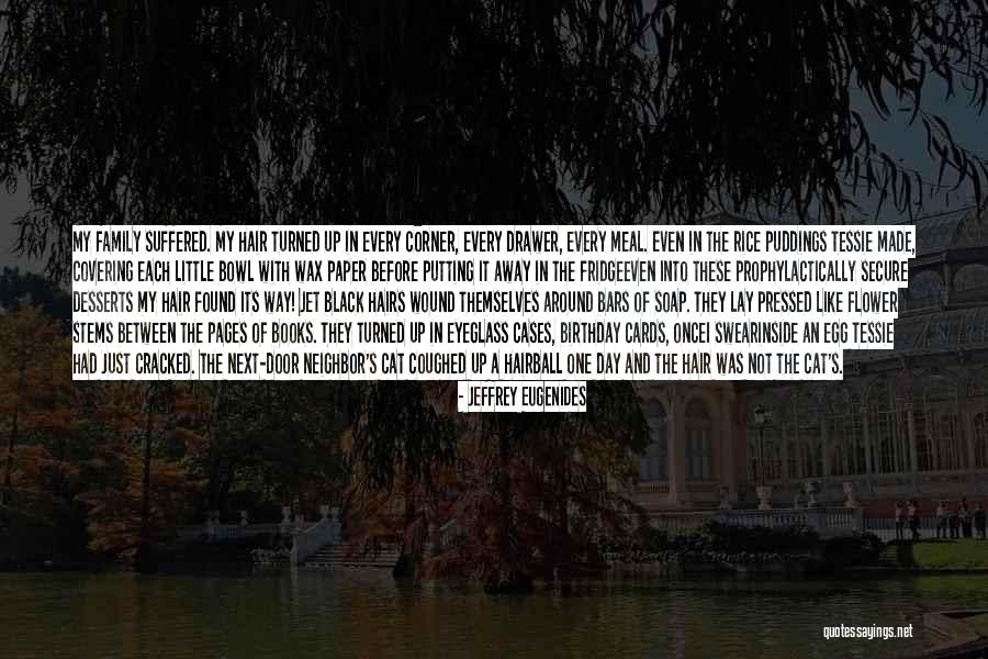 Istemeye Quotes By Jeffrey Eugenides Istemeye Quotes By Jeffrey Eugenides