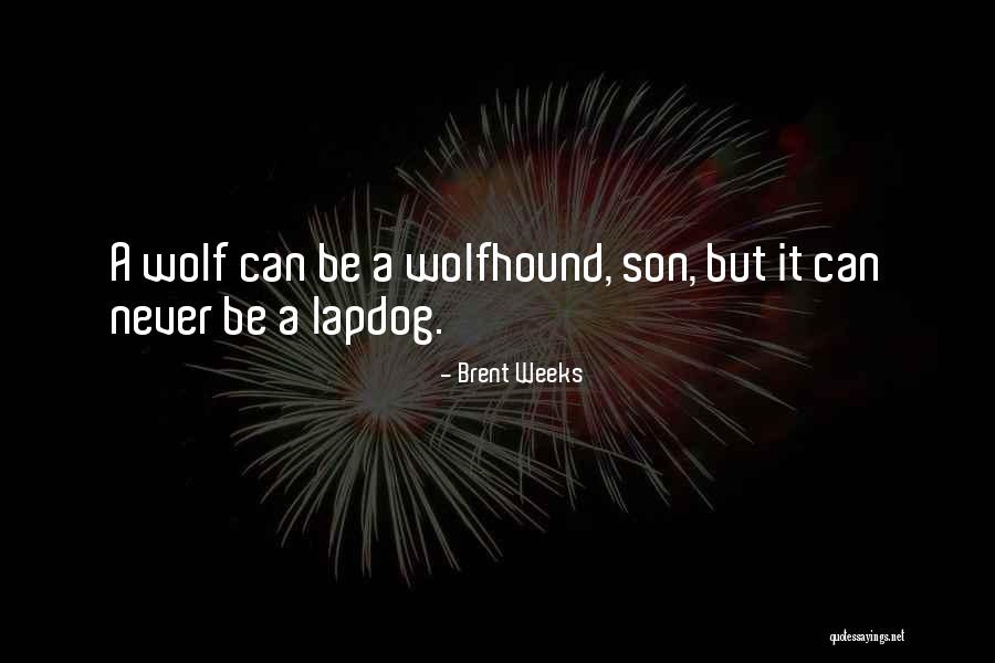 Istinito Quotes By Brent Weeks Istinito Quotes By Brent Weeks