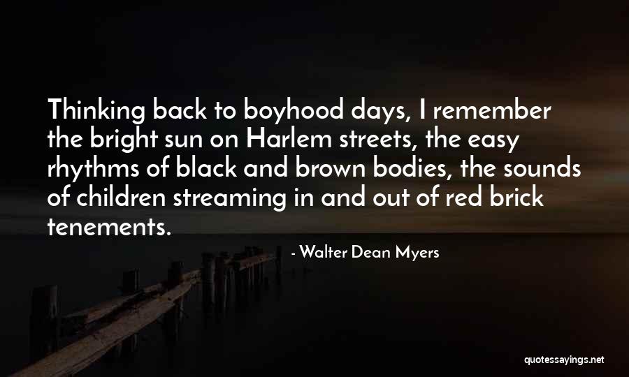 Istrajno Quotes By Walter Dean Myers Istrajno Quotes By Walter Dean Myers