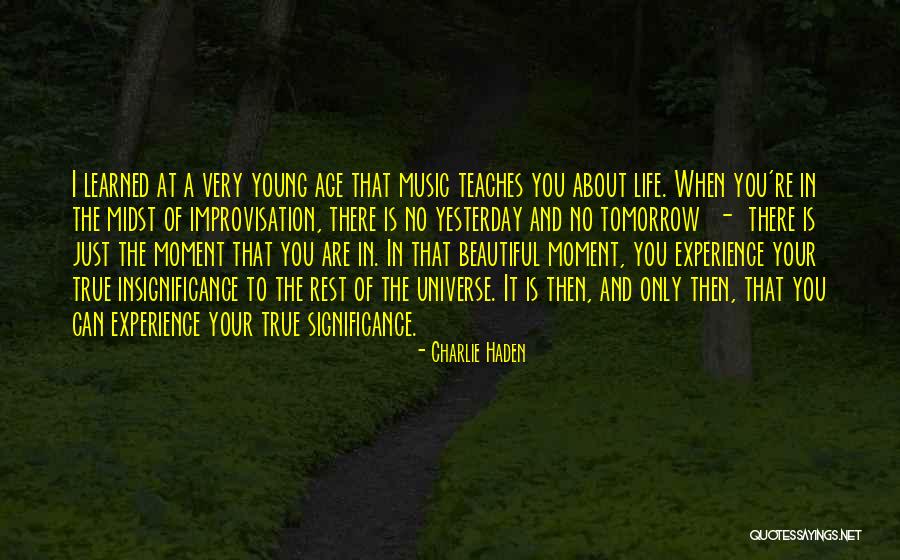 It A Beautiful Life Quotes By Charlie Haden It A Beautiful Life Quotes By Charlie Haden