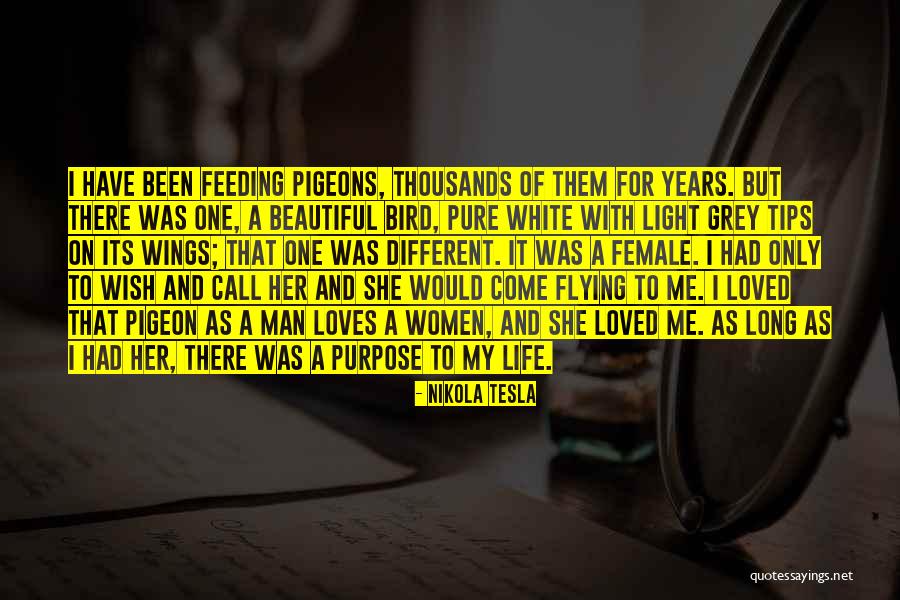 It A Beautiful Life Quotes By Nikola Tesla It A Beautiful Life Quotes By Nikola Tesla
