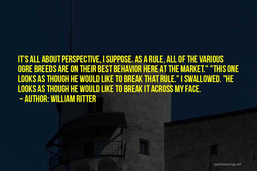It All About Perspective Quotes By William Ritter