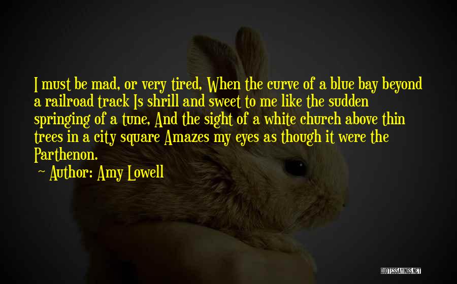 It Amazes Me Quotes By Amy Lowell