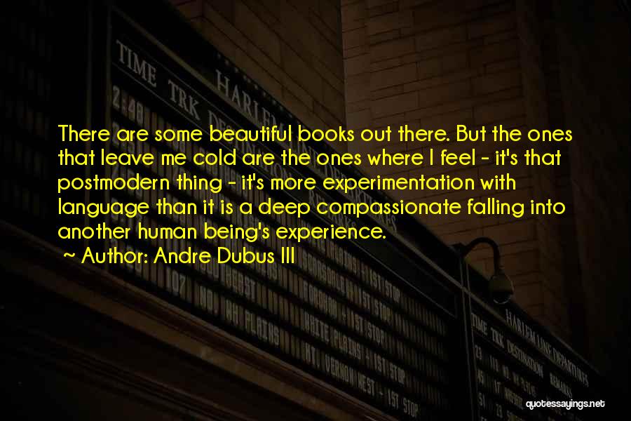 It Being Cold Quotes By Andre Dubus III