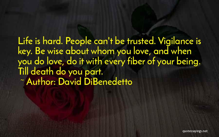 It Being Hard To Love Someone Quotes By David DiBenedetto