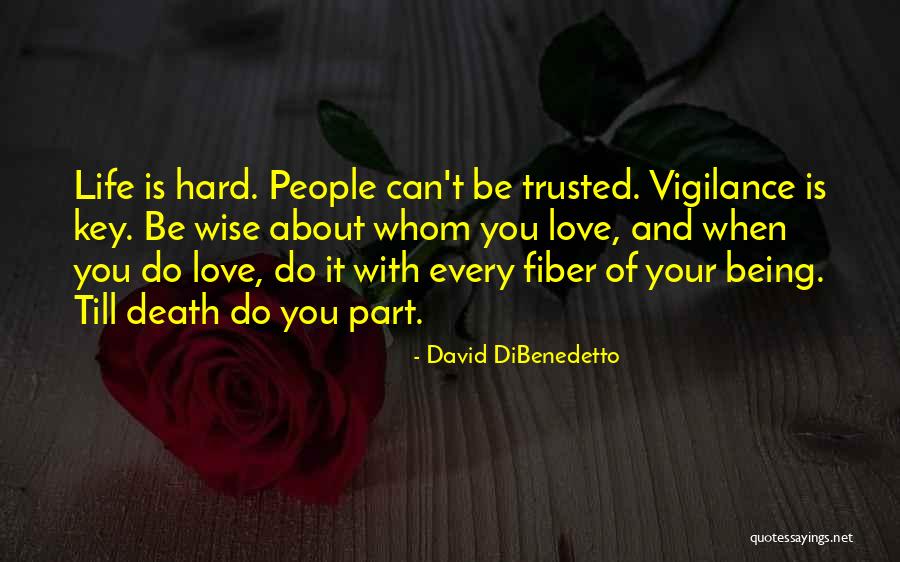 It Being Hard To Love Someone Quotes By David DiBenedetto It Being Hard To Love Someone Quotes By David DiBenedetto