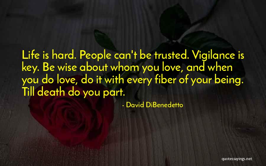 It Being Hard To Love Someone Quotes By David DiBenedetto