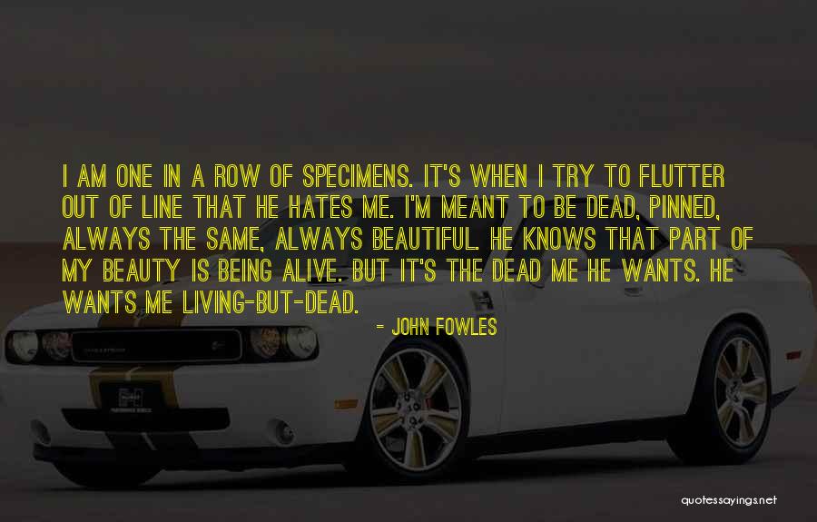 It Being Meant To Be Quotes By John Fowles