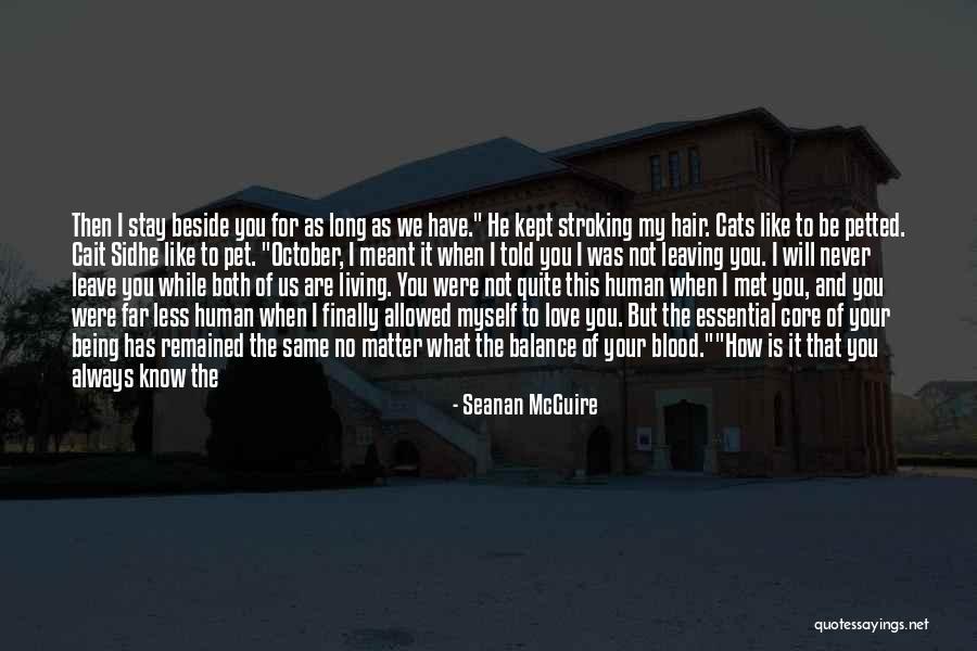 It Being Meant To Be Quotes By Seanan McGuire