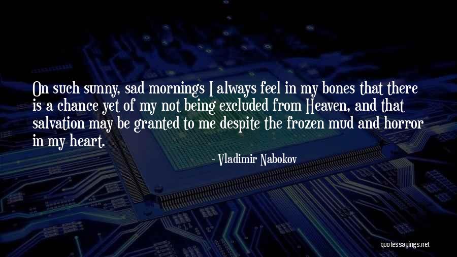 It Being Okay To Be Sad Quotes By Vladimir Nabokov