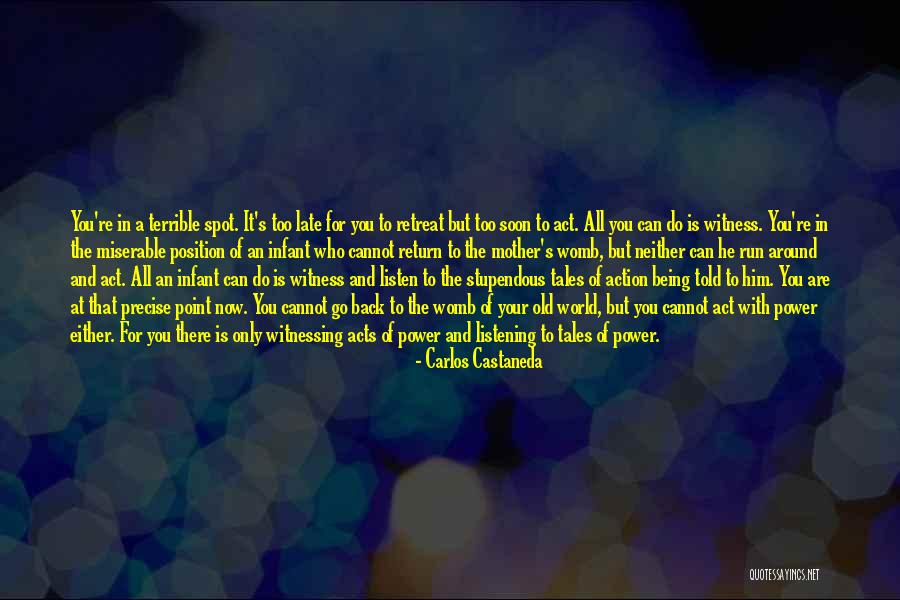 It Being Too Late Quotes By Carlos Castaneda It Being Too Late Quotes By Carlos Castaneda