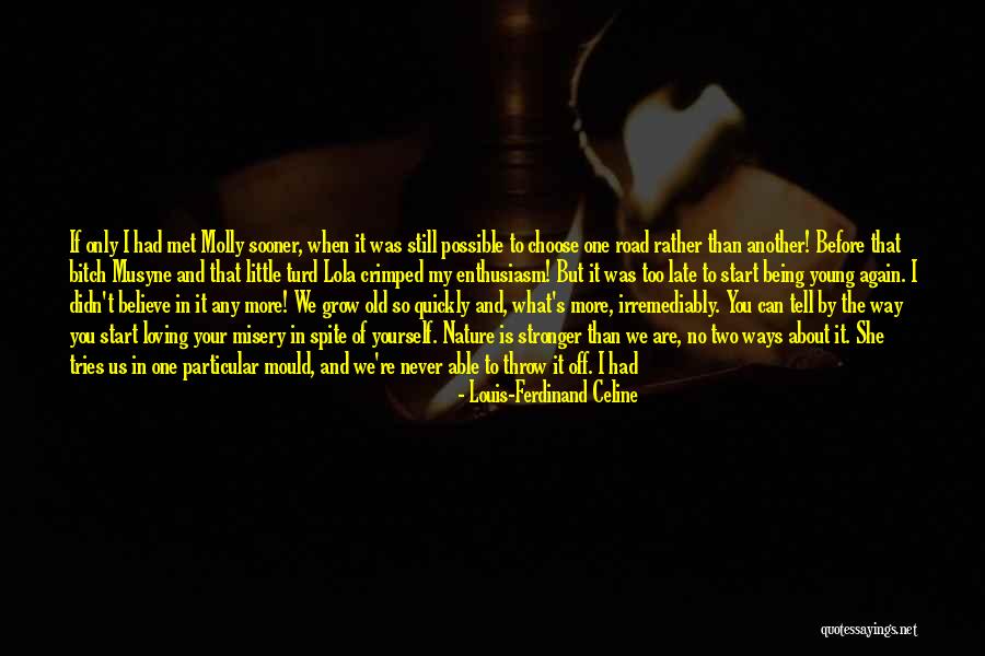 It Being Too Late Quotes By Louis-Ferdinand Celine It Being Too Late Quotes By Louis-Ferdinand Celine