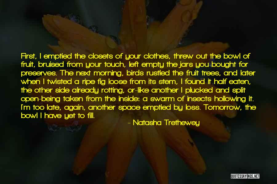 It Being Too Late Quotes By Natasha Trethewey It Being Too Late Quotes By Natasha Trethewey