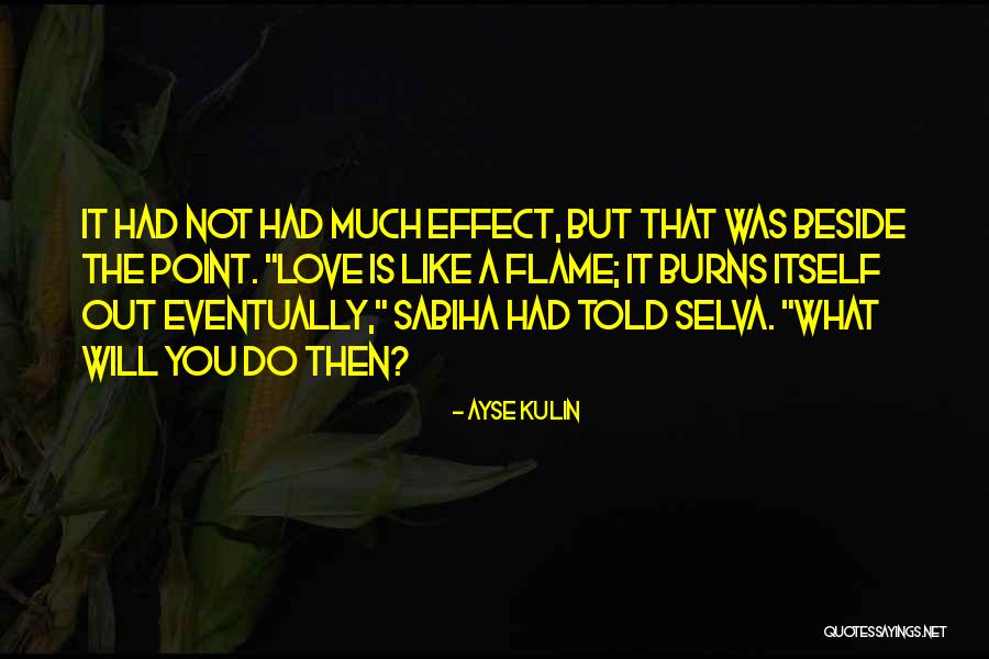 It Burns Quotes By Ayse Kulin It Burns Quotes By Ayse Kulin
