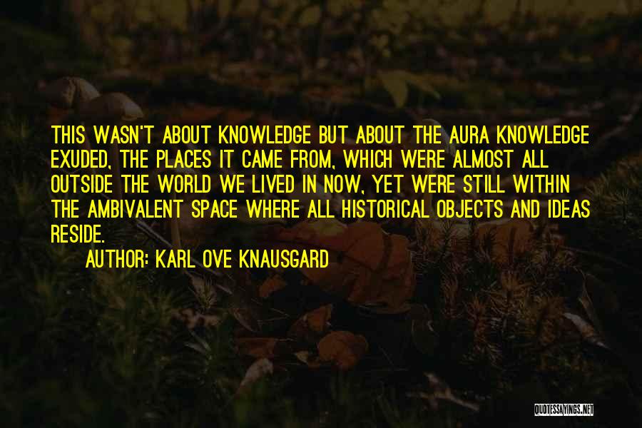 It Came From Within Quotes By Karl Ove Knausgard