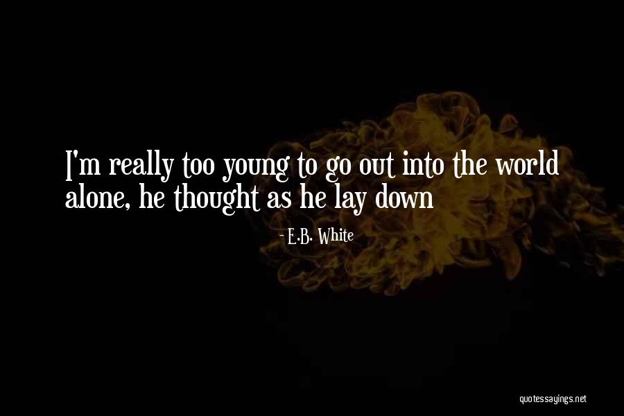 It Cost Zero Dollars Quotes By E.B. White It Cost Zero Dollars Quotes By E.B. White