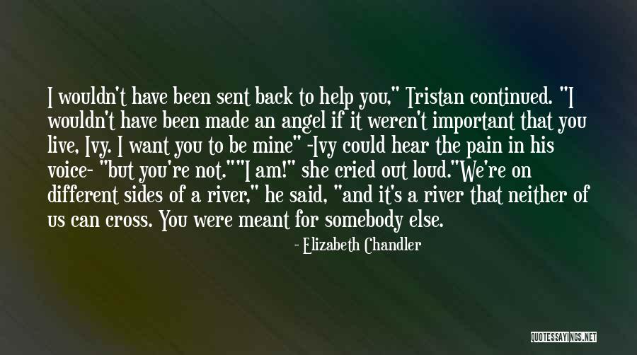 It Could Have Been Different Quotes By Elizabeth Chandler It Could Have Been Different Quotes By Elizabeth Chandler