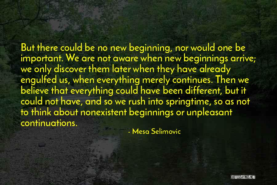 It Could Have Been Different Quotes By Mesa Selimovic It Could Have Been Different Quotes By Mesa Selimovic
