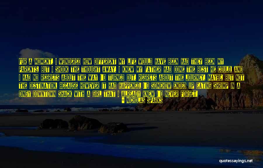 It Could Have Been Different Quotes By Nicholas Sparks It Could Have Been Different Quotes By Nicholas Sparks