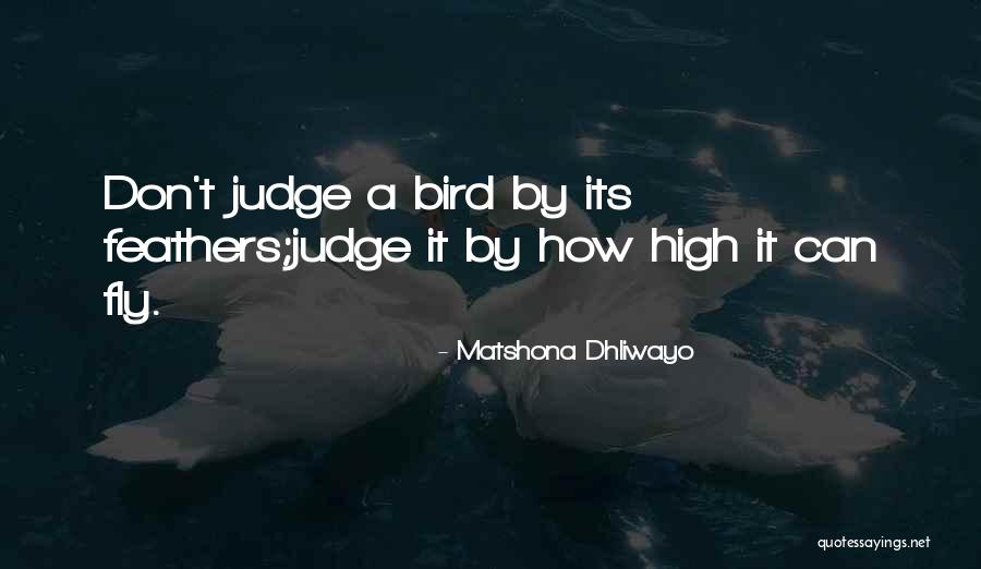 It Does Not Let Us Fly Quotes By Matshona Dhliwayo