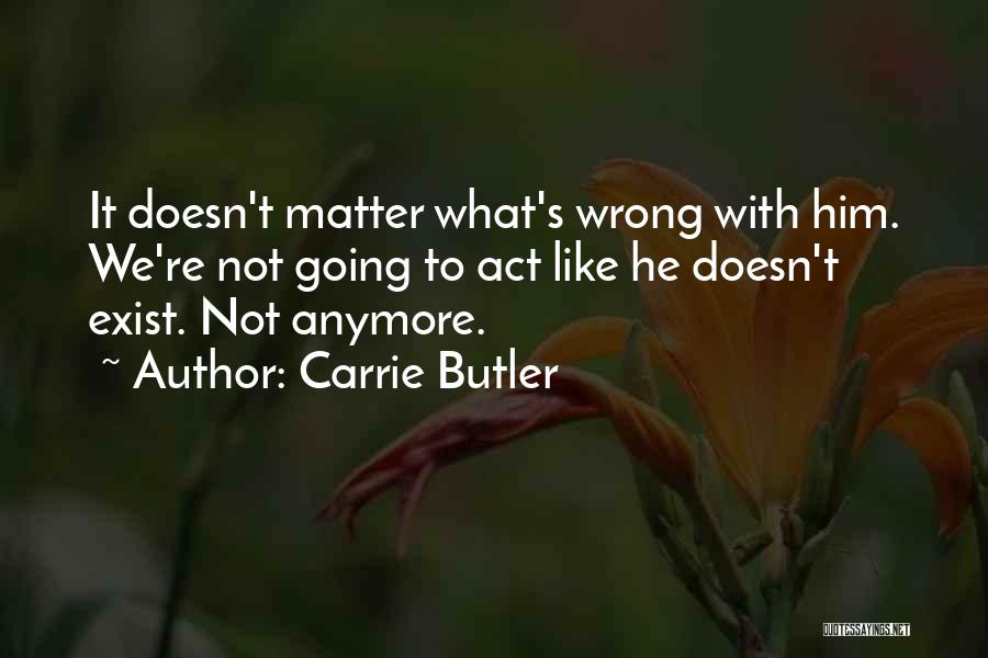 It Doesn't Even Matter Anymore Quotes By Carrie Butler