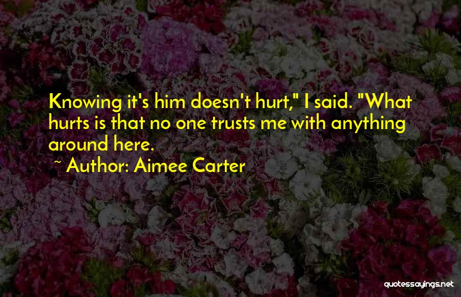 It Doesn't Hurt Me Quotes By Aimee Carter