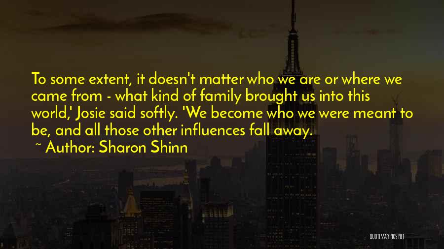 It Doesn't Matter Where You Came From Quotes By Sharon Shinn