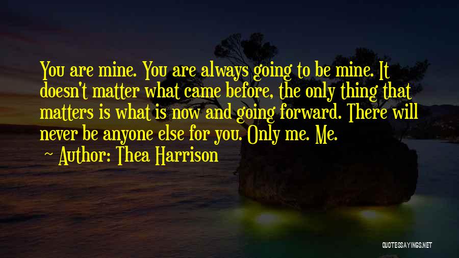 It Doesn't Matter Where You Came From Quotes By Thea Harrison