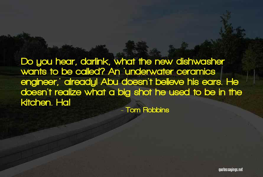 It Engineer Funny Quotes By Tom Robbins It Engineer Funny Quotes By Tom Robbins