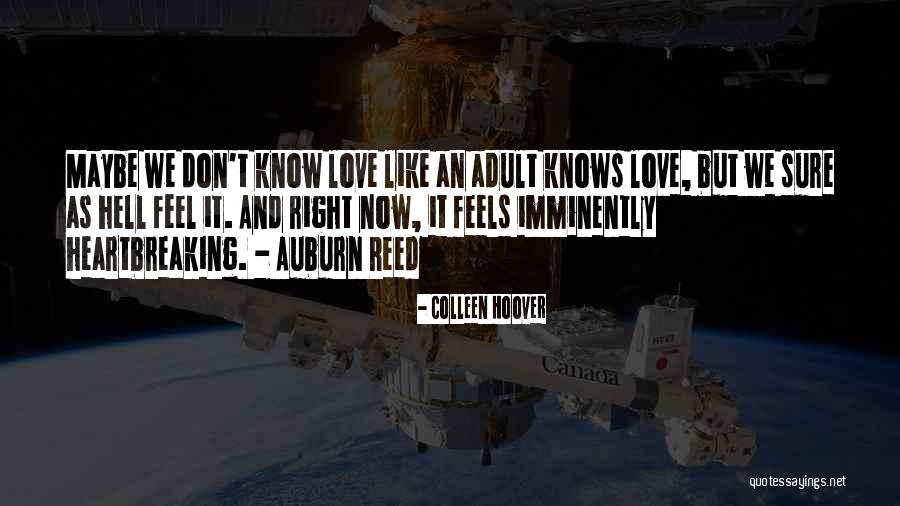 It Feels Like Hell Quotes By Colleen Hoover It Feels Like Hell Quotes By Colleen Hoover