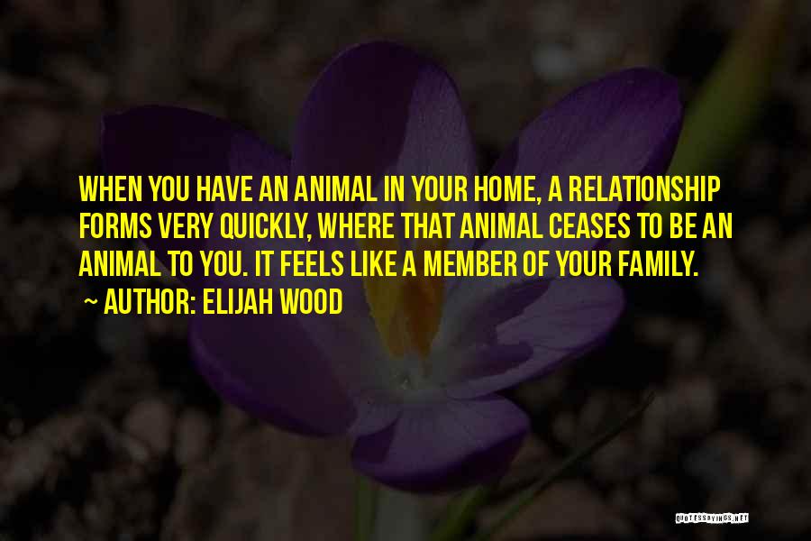 It Feels Like Home Quotes By Elijah Wood