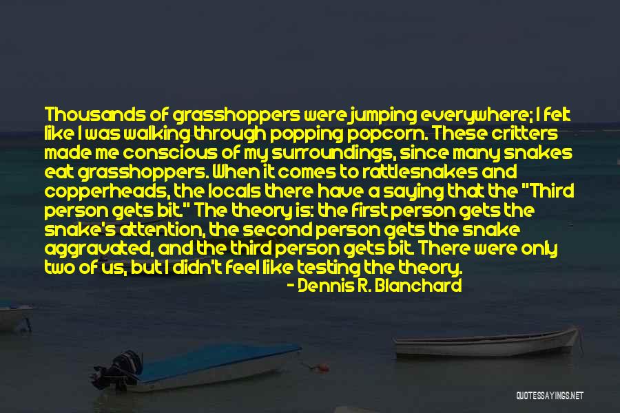 It From Bit Theory Quotes By Dennis R. Blanchard It From Bit Theory Quotes By Dennis R. Blanchard