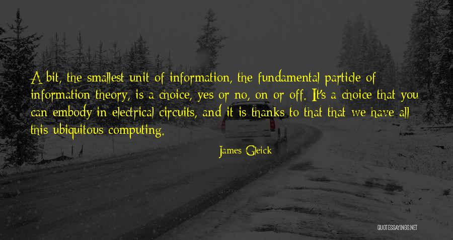 It From Bit Theory Quotes By James Gleick It From Bit Theory Quotes By James Gleick