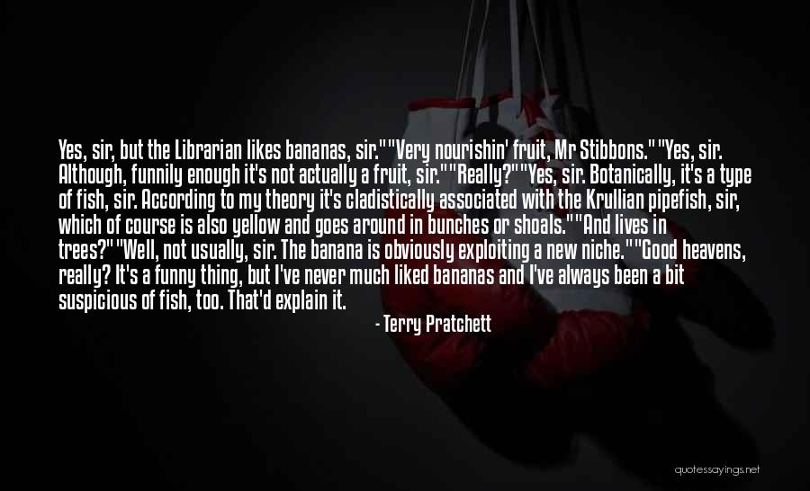 It From Bit Theory Quotes By Terry Pratchett It From Bit Theory Quotes By Terry Pratchett