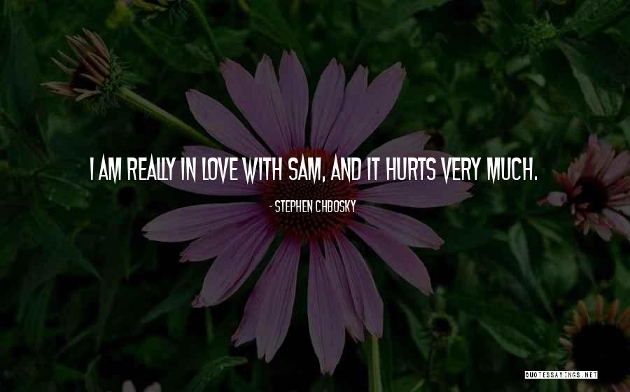 It Hurts Love Quotes By Stephen Chbosky