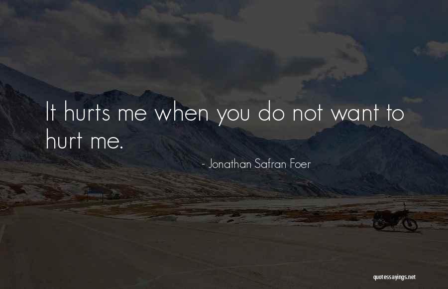 It Hurts Me To Love You Quotes By Jonathan Safran Foer