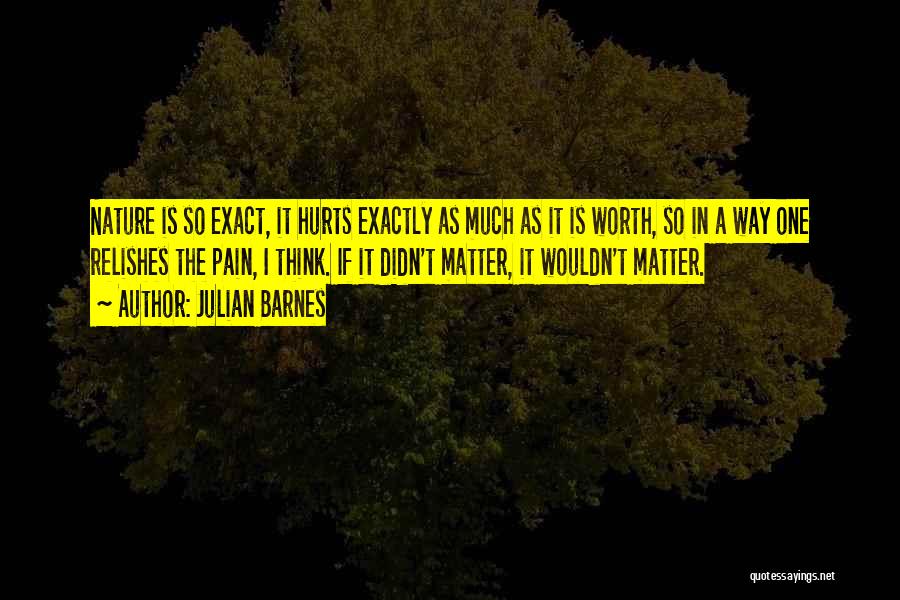 It Hurts So Much Quotes By Julian Barnes