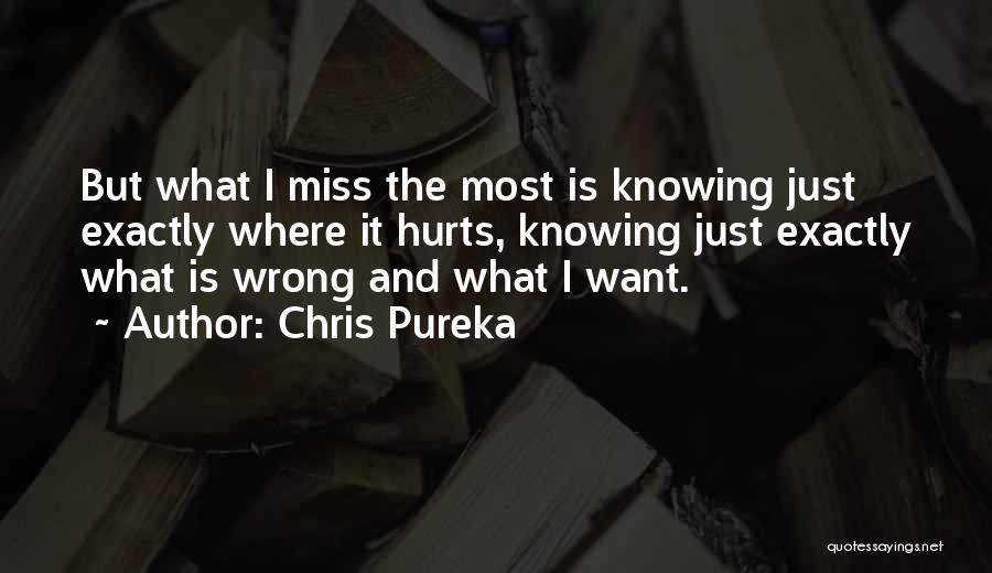 It Hurts The Most Quotes By Chris Pureka