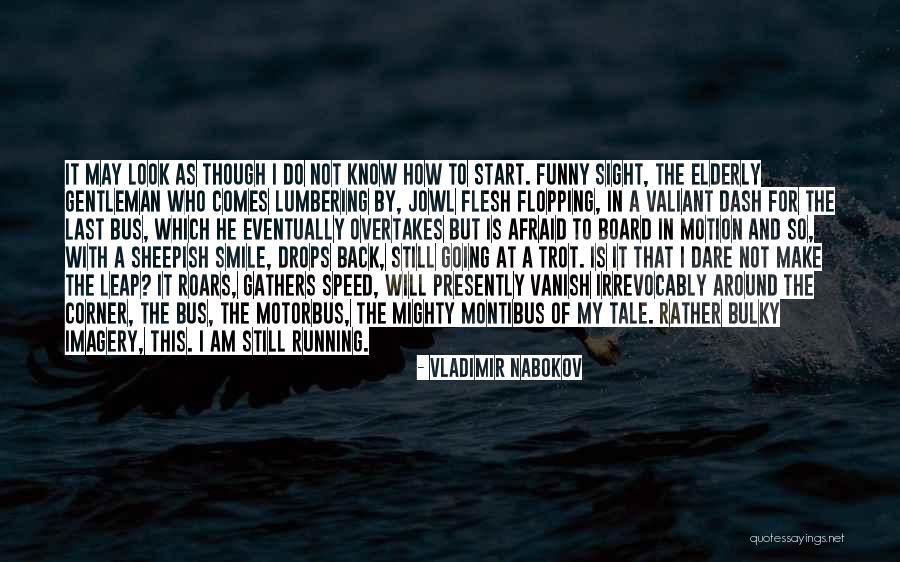 It Imagery Quotes By Vladimir Nabokov It Imagery Quotes By Vladimir Nabokov