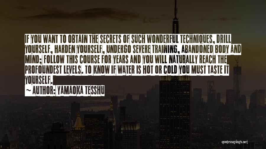 It Is Hot Quotes By Yamaoka Tesshu