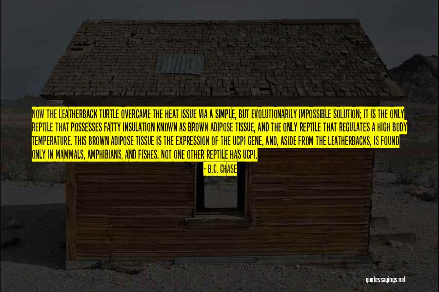 It Is Impossible Quotes By B.C. Chase It Is Impossible Quotes By B.C. Chase