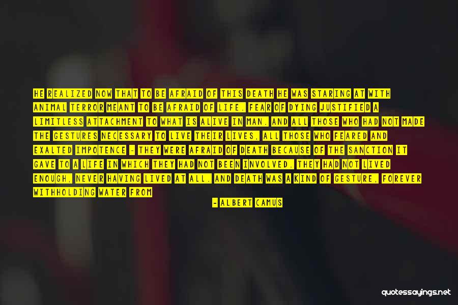 It Is Meant To Be But Not Now Quotes By Albert Camus It Is Meant To Be But Not Now Quotes By Albert Camus