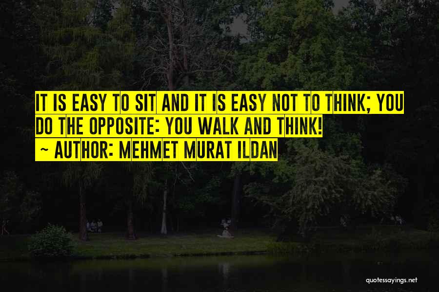 It Is Not Easy Quotes By Mehmet Murat Ildan