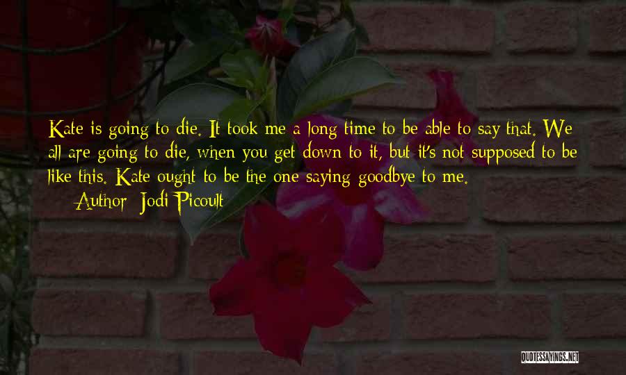 It Is Not Goodbye Quotes By Jodi Picoult