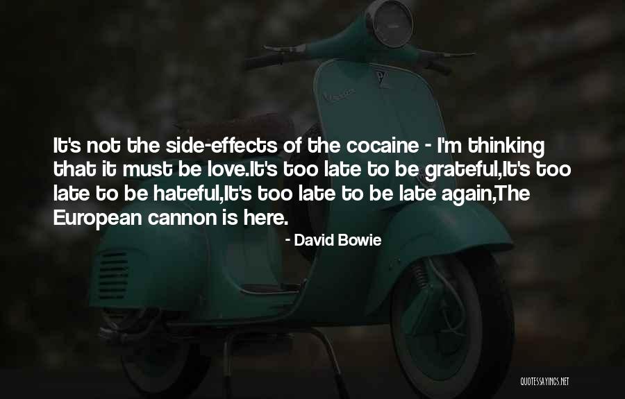 It Is Not Too Late Quotes By David Bowie