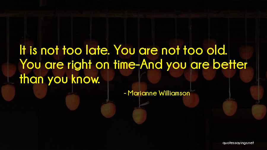 It Is Not Too Late Quotes By Marianne Williamson